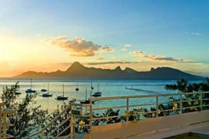 BVI公司股權變更